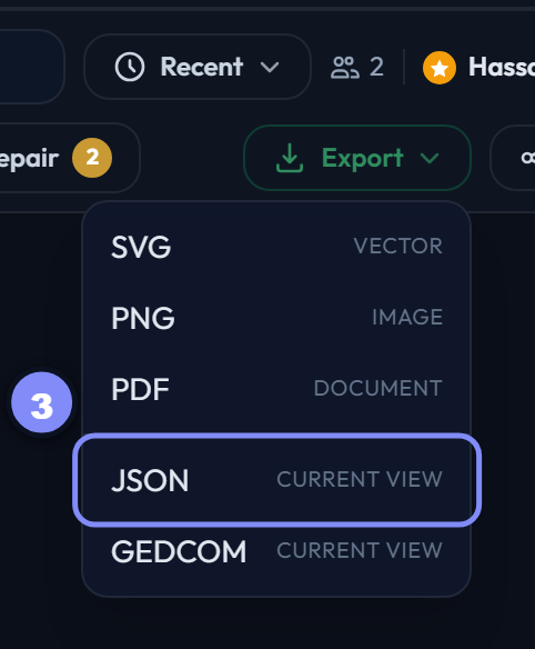 The export menu with JSON (current view) marked