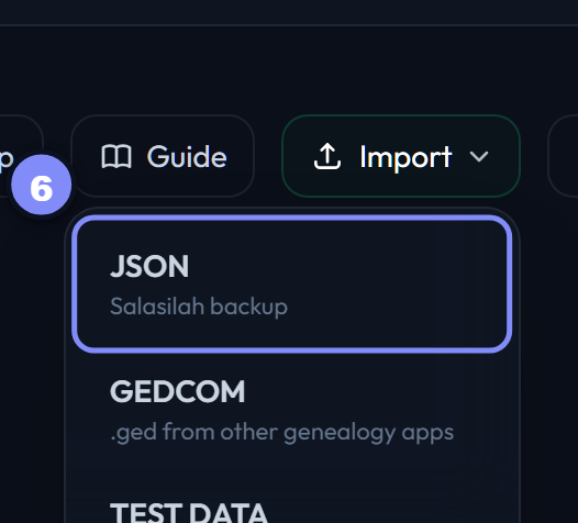 The Import menu on the dashboard with JSON marked