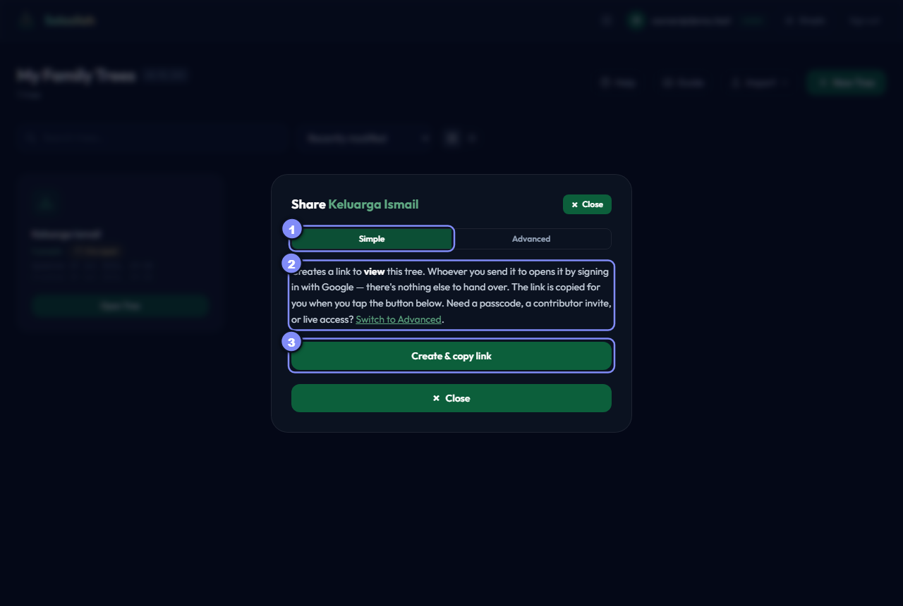 The share modal in Simple mode