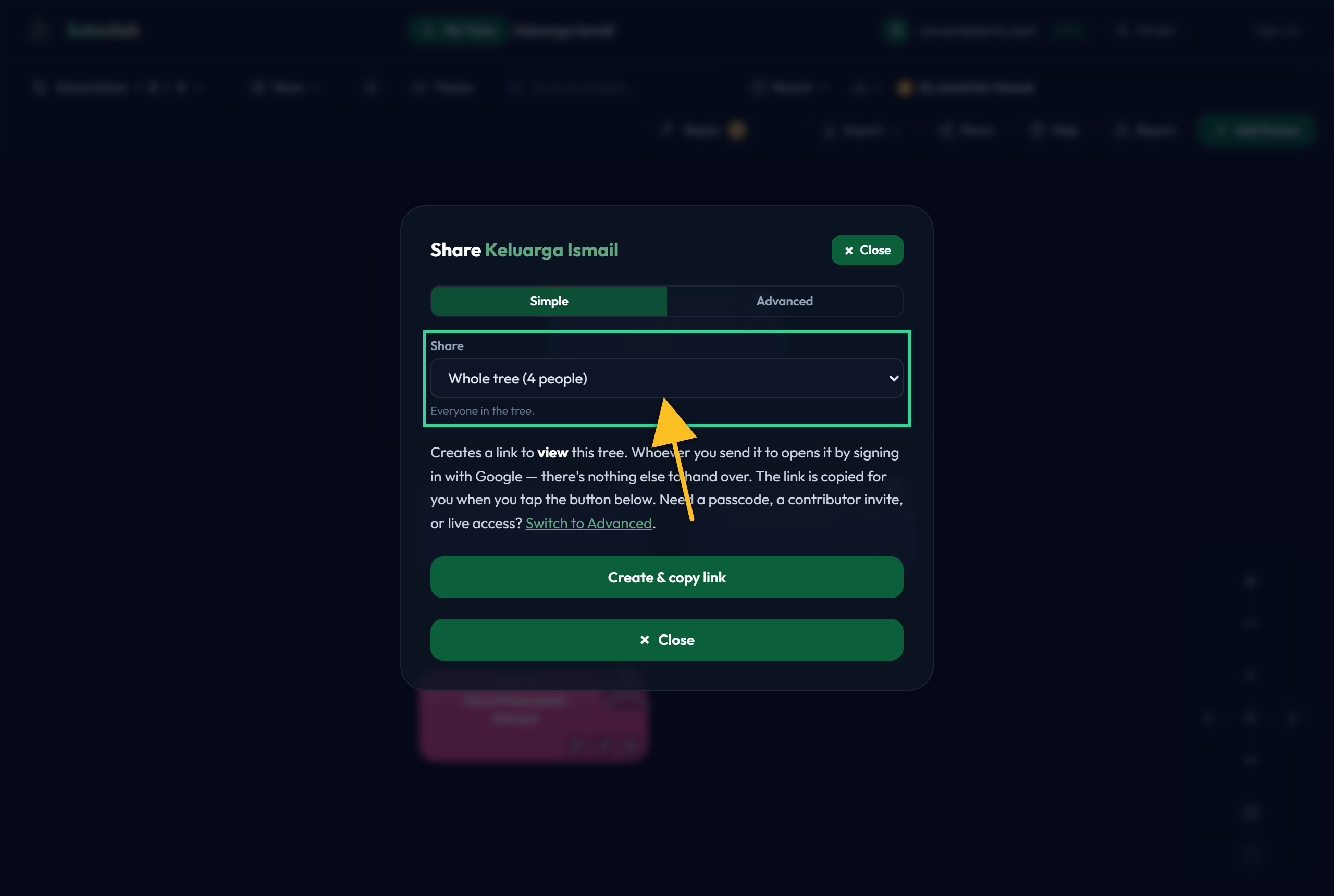 The Share scope selector with three options