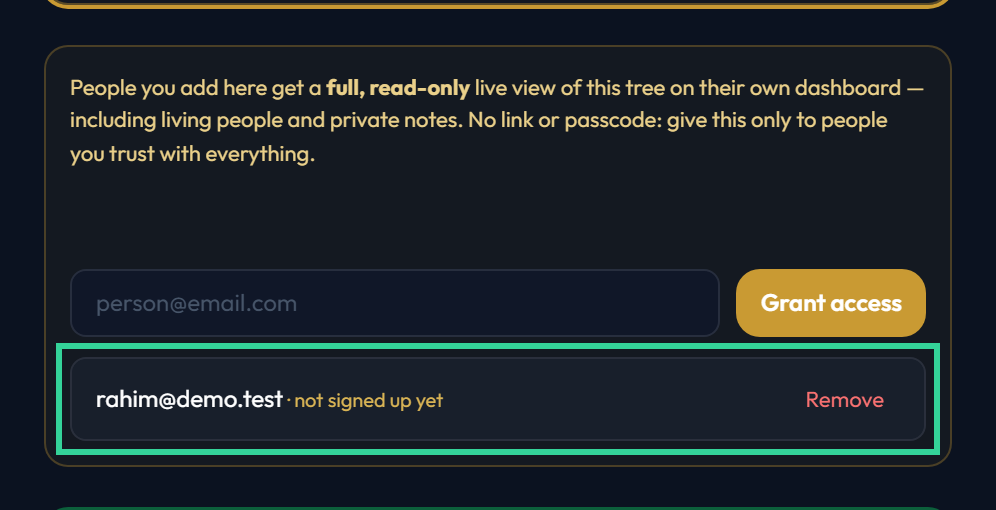 A granted email listed under the live access panel