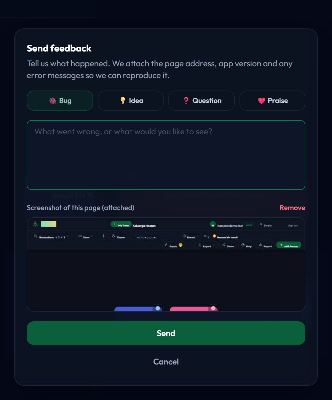 The report a problem form